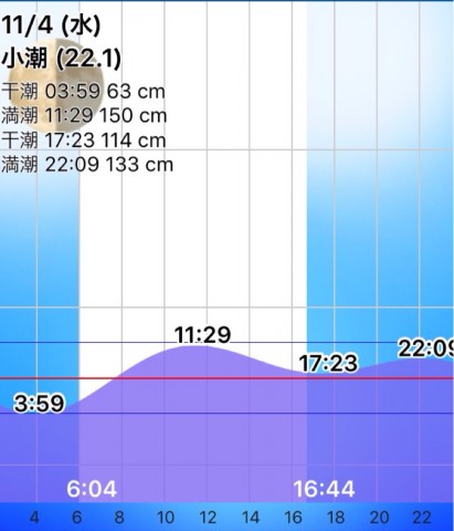 nx4xxfj4g57xwmt2xnyk_788_920-4db966d8.jpg