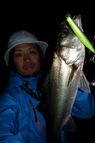 nx9jypdsua8ac24raw9n_480_480-e220d8da.jpg