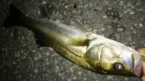nxbgki2et6sj23c7b382_920_518-999e8d50.jpg