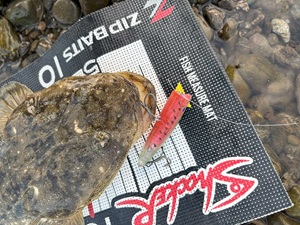 nxfwf2aphjimio2p2cj5-511c93a2.jpg