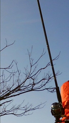 nxjs6tjyas6yydwhm46m_518_920-394be7e2.jpg