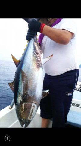 nxs899ct6or5fbxhngin_480_480-f00688c1.jpg