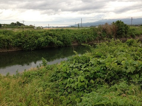 nxt95f8xf2xofbbwj6sk_480_480-6f738a0e.jpg