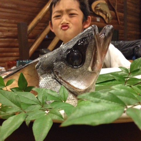 nxvwbxkdh8gjebuchuhi_920_920-84910816.jpg