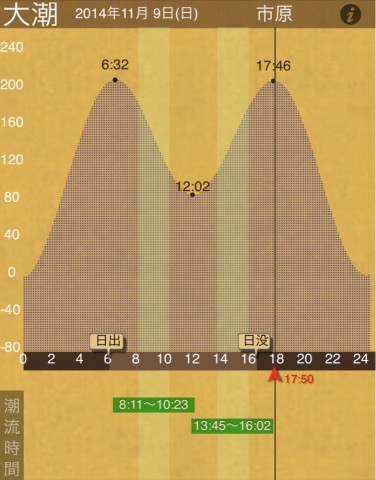nxy5yos2pjncx3yte2x8_720_920-98306c97.jpg