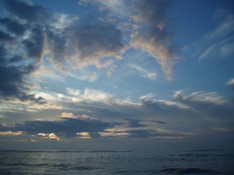 ny6rde658bi9b99r27k3_480_480-1a0f1025.jpg