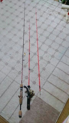 nydr4do49rg8xfw5jhx8_360_640-0cf0dfbb.jpg