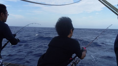 nyhf2w5n52a4x7kes9ec_480_480-d29800ce.jpg