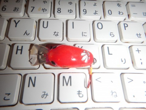 nyidwz6get3mfeyxpyow_480_480-dab18bcd.jpg