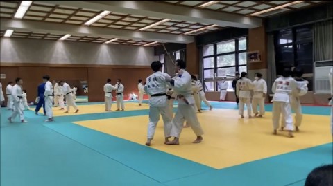 nyjyugewmduc2ytuzbeu_480_480-bfb161a6.jpg