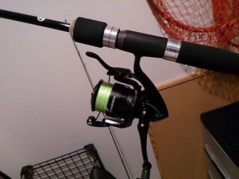 nyknpogfgi9sw4bv2wx3_480_480-59641e92.jpg