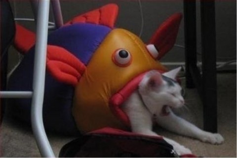 nykrbkn3awburh3d8nc5_920_611-9fe4c7ad.jpg