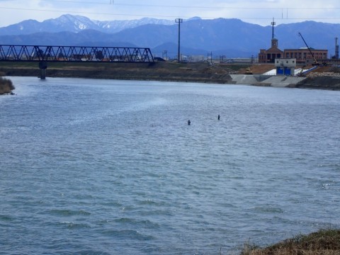 nyon4iak6hb2s7e29ms5_480_480-b193fe5a.jpg