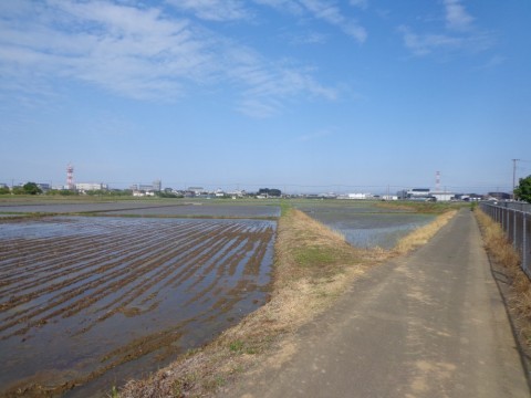 nyow74zmzy9kv8ot78oj_480_480-c69156a0.jpg