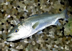 nywbiukwkt548tdysro6-5e784070.jpg
