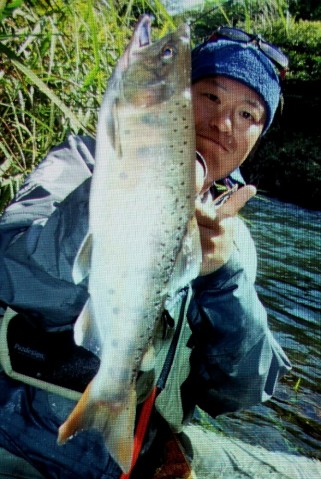 nz58bwpbofy7f48s4toa_616_920-cf93e8cf.jpg