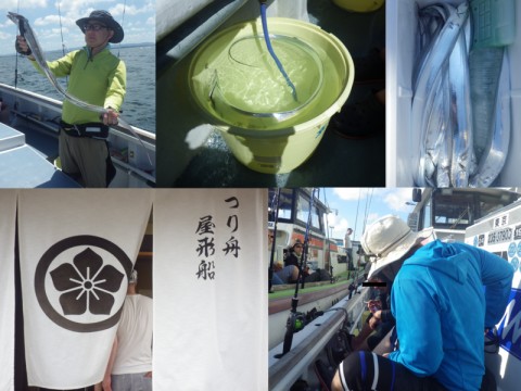 nz8hkx7669t6t2z3ge8z_480_480-9e7591a9.jpg
