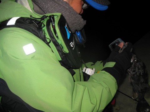 nz9xrgvik65panhw9cpb_480_480-4d4e3b73.jpg