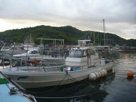 nzeip6uuffwkzwuv368h_920_690-d25cea9c.jpg