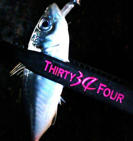nzgwdjei6esg23fbriix_812_861-e8337129.jpg