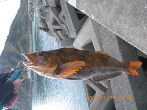 nzgz998ojrmop9ivgrrr_920_690-66aed345.jpg