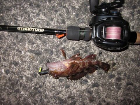 nznek3xnxzgczm47933h_480_480-8b10bab7.jpg
