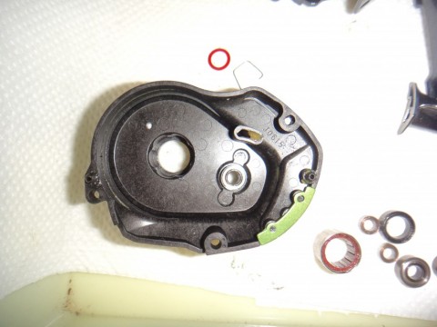 nzo42ojtovrbwd784dv5_480_480-40b5754d.jpg