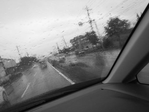 nzt4dno3e9pcxj7r6xo5_480_480-1e824243.jpg