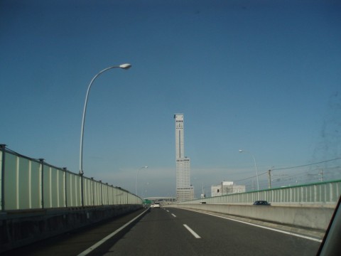 o22p53m7ebfcsugywx3a_480_480-c541bb27.jpg