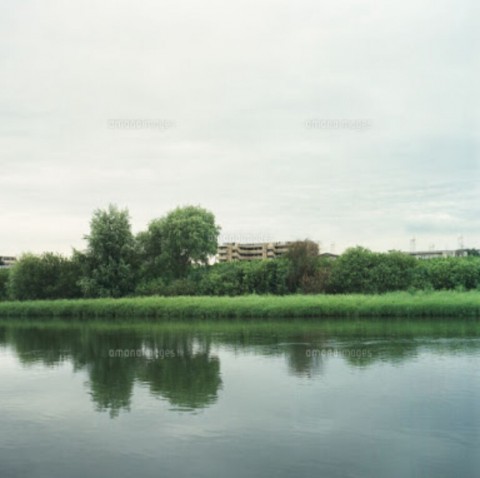 o284evcpstmwa37fxuwn_920_916-8cb8c12e.jpg