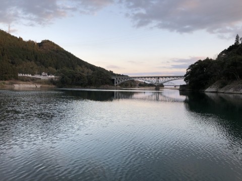 o2jfu6j8rk388vy5n37f_480_480-3f457504.jpg