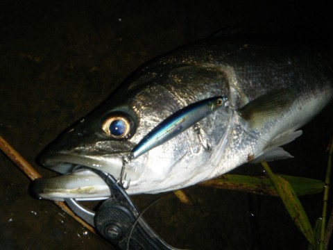 o2jz8ampyhs24c82bb7u_920_690-39757fcf.jpg