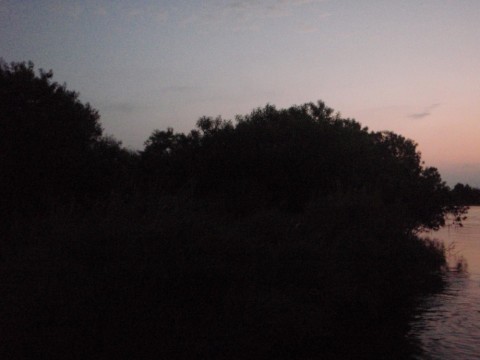o2ndg5b9c4cffhdzh2mc_480_480-ba1a8078.jpg