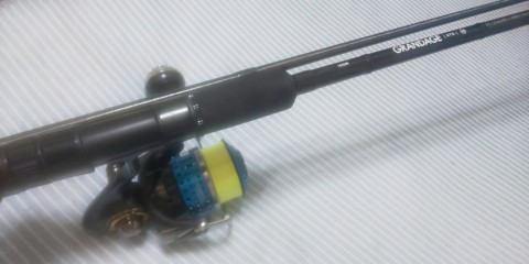 o2ov9kr3op62hu7oiokc_480_480-6f20e20f.jpg