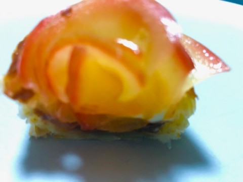 o2p9xagsxikbwsnitvne_480_480-a5d8018e.jpg