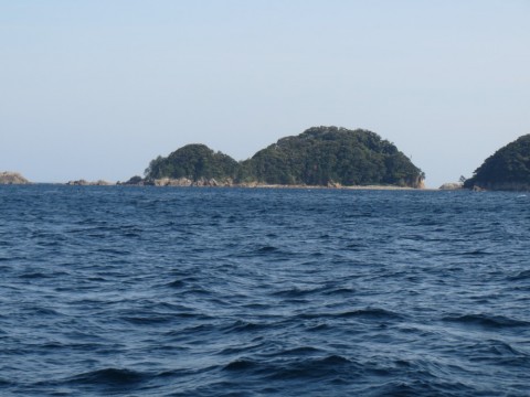 o2xpojyixi8v5xfsaed3_480_480-648c0c31.jpg