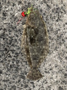 o2yhx4aa2gfyedpcjepe_361_480-b0f76bb1.jpg