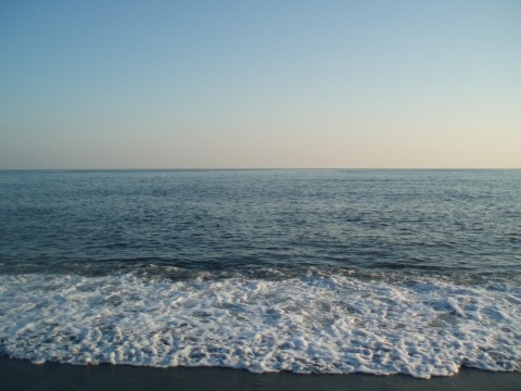 o395zgzg2bhpdoe5mn4a_480_480-758d9213.jpg