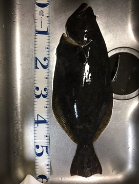 o3fz62j5xxyvr7rppso7_361_480-593015ea.jpg