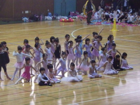o3um597t9hx2i49anpjd_480_480-d3ba9916.jpg