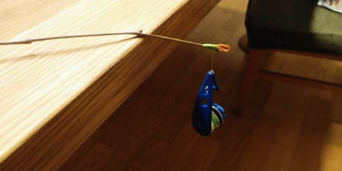 o4k2en4wzimswik4dtty_480_480-25a7d4f5.jpg