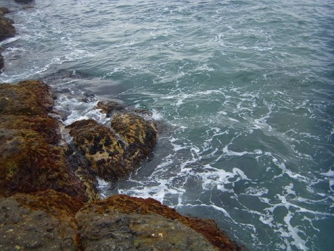 o4or2hj772ejttnc7j94_480_480-90b4c3c7.jpg