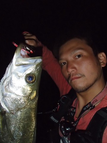 o4p9pa9sbeheuwct6im4_480_480-09edfdc4.jpg