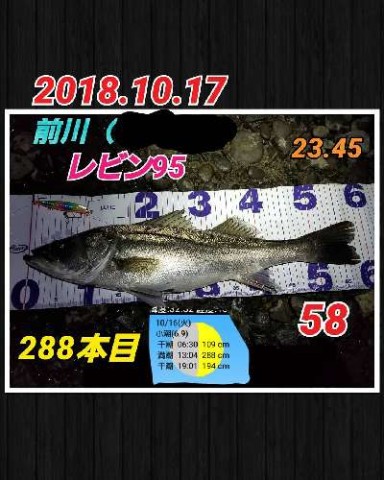 o4sft4gyzuj67g228tds_480_480-c0e51e1d.jpg