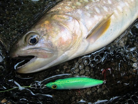 o53jg5mhbxap8xwbi8oz-5d6787e1.jpg