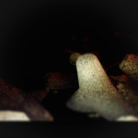 o562a5akxipdds7nsci2_920_920-45e9567d.jpg