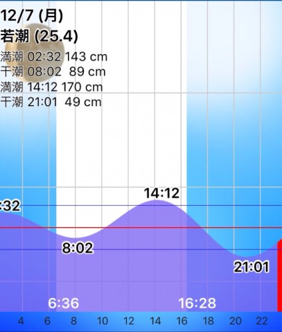 o566g99caoi8btvb5snj_781_920-1a48187f.jpg