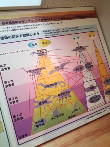 o58r2rysj23teoc5t5td_690_920-8063f2bf.jpg