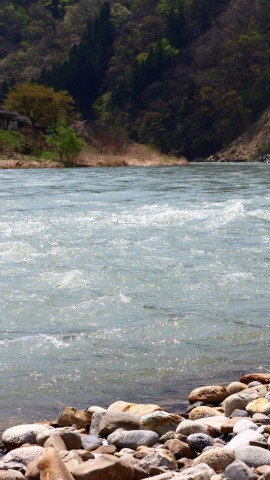 o5ajphcaujwa4knt54xs_480_480-8f205475.jpg