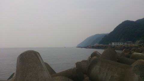 o5crmwnekv8cd8c2j39x_480_480-e24007ae.jpg